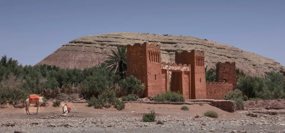 Ancient kasbah entrance surrounded by palm trees and a rocky landscape near Ait Ben Haddou, with camels resting nearby under a blue desert sky.